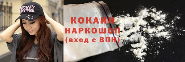 гашик Россошь