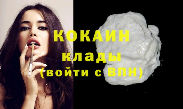 гашик Россошь