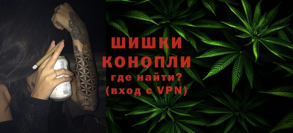 гашик Россошь