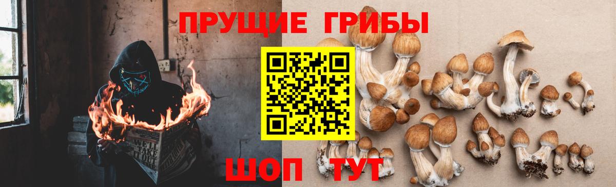 Тихвин  Псилоцибиновые грибы прущие грибы  Вход с VPN 