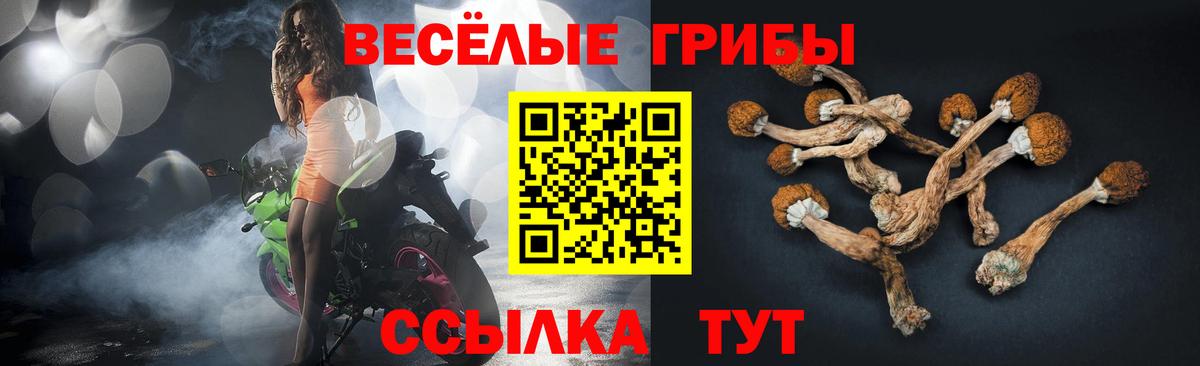 Галлюциногенные грибы прущие грибы Тихвин