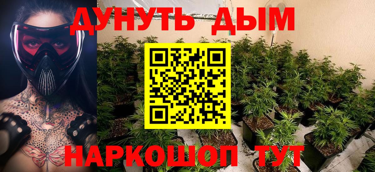 Бошки Шишки Bruce Banner  Вход с VPN  Марихуана Bruce Banner  Тихвин  Конопля AK-47 